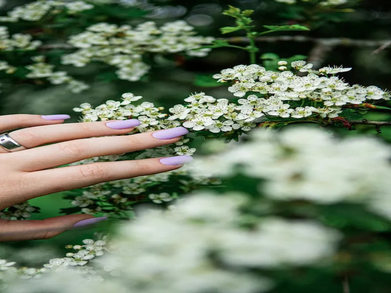 Ombre blush and nude nails